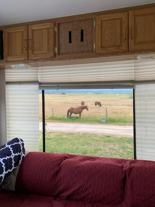 Mission Mountain Camper Apartment Saint Ignatius ภายนอก รูปภาพ